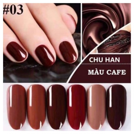 Set gel CHUHAN - 6 màu café